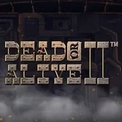 Dead or Alive 2 slot at Rajabets Casino